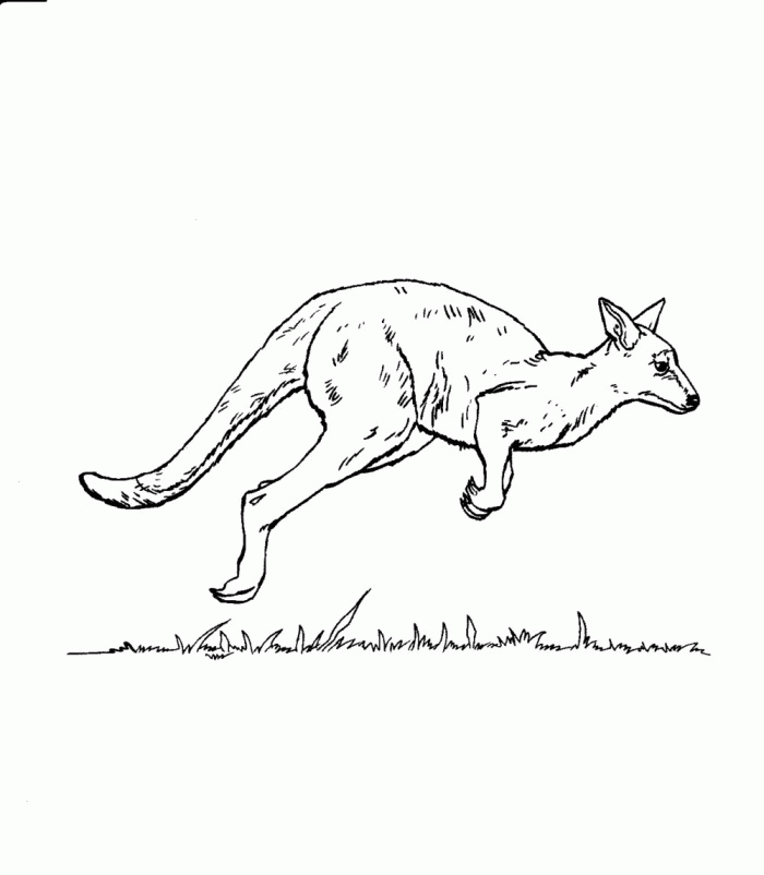 Plansa de colorat cu Australia 71 69